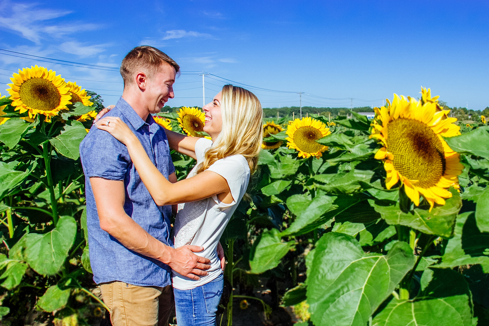 couples session, couples photoshoot, outdoor photography, natural light, save the date session, emotional photography, special moments, special events, memories of a lifetime, sunflowers