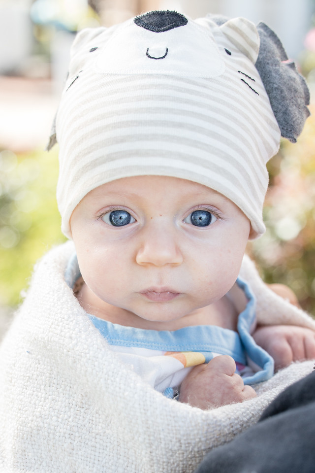 Newborn wrapped portrait photography