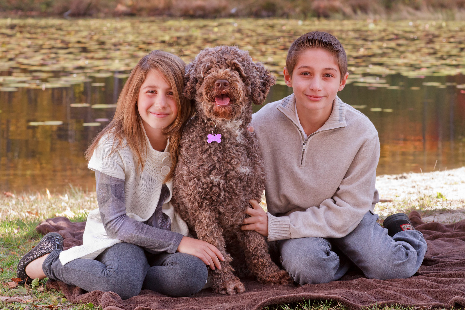 pet photography, dog portraits, families and pets, capturing pet personalities